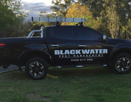 Blackwater Pest Management - Termite & Pest Control Hawkesbury